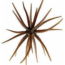 ハイドアップコイケ 61dRm6q4BjL._AC_UL210_SR210,