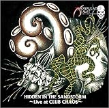 HIDDEN IN THE SANDSTORM �`Live at CLUB CHAOS�`