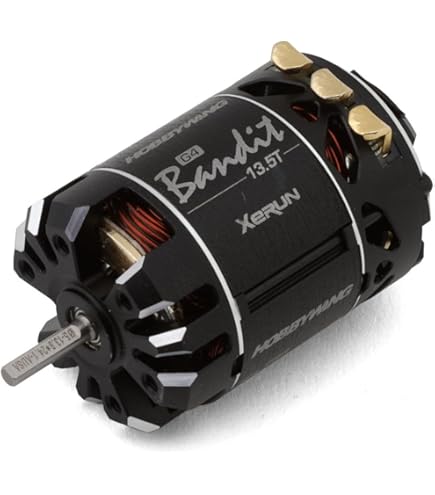 REEDY SP5 17.5Tブラシレスモーター