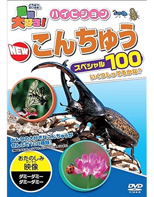 Amazon.co.jp: 動物大好き!NEWカブト・クワガタスペシャル50 [DVD] : DVD