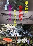 幽玄峡の岩魚釣り: そして、ついでの山菜・キノコ
