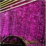 GLADLE 3MX2M 224LEDs クリスマスパーティー、ワードローブ、結婚式、学園祭、ガーデンパーティー、屋内外装飾用、LEDイルミネーション 飾りスター 防水国際基準IP65 LED カーテ