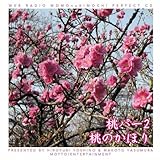 �E�F�u���W�I ���̂������E�p�[�t�F�N�gCD ���p�[2�E���̂��ق�