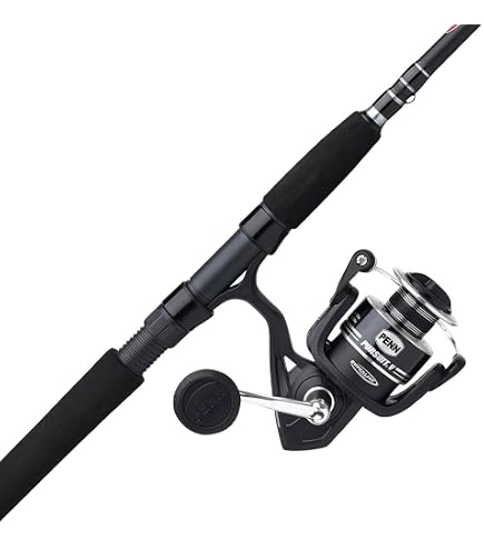PENN Combo Penn Fierce IV Spin, Set for Sea, Coastal or Offshore Lure Fishing, Versatile, Good for Marine Predators Including Bass, Cod, Yellow Spot, Labre PENN Combo Penn Fierce IV Spin, Set for Sea, Coastal or Offshore Lure Fishing, Versatile, Good for Marine Predators Including Bass, Cod, Yellow Spot, Labre