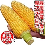 【メール便配送】国華園　野菜たね　トウモロコシ　F1スーパースイート83　1袋(40ml)【※発送が国華園からの場合のみ正規品です】