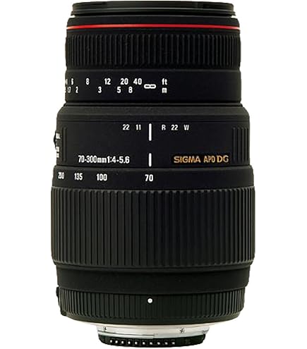 Amazon.co.jp: Sigma 100-300mm F4 APO EX DG HSM for Nikon : Electronics