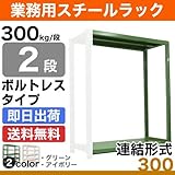 スチールラック 業務用 300kg/段ボルトレス 実(外)寸法：幅95.5cm×奥行48cm×高さ210.5cm【2段(枚)】質量(26)kg【連結形式】 スチールラック スチール棚 業務用 中量棚 オープンラック スチール製 スチール 本