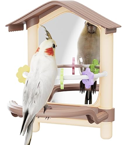 Amazon | Parlayildiz バードミラー | 鳥用止まり木と鏡のオウム