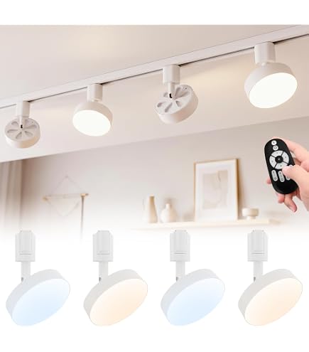 Amazon.co.jp : 【40W相当 485lm / LED電球付属 】 YAZAWA ダクト
