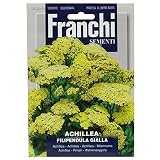 野菜の種 アキレア ACHILLEA FLIPENDULA GIALLA D300/40