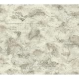 York Wallcoverings Nautical Living Coastalマップ壁紙 Wallpaper NY4836 1