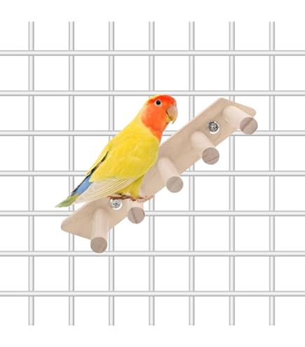 Amazon | 3点セット 鳥 はしご ブランコ 止まり木 インコ 遊び場 鳥の