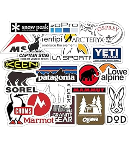 Amazon.co.jp: SESSIONS (セッションズ) ステッカー LOGO BK [並行輸入