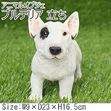 アニマルオブジェ ブルテリア 子犬 立ち QY-61