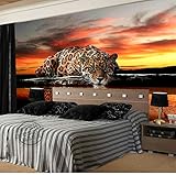 bzdhwwhシルク壁紙/壁壁画、HD LEOPARD飲料水反射サンセット風景壁画、3d Leopardの壁紙リビングルーム寝室子供部屋 6959786394954