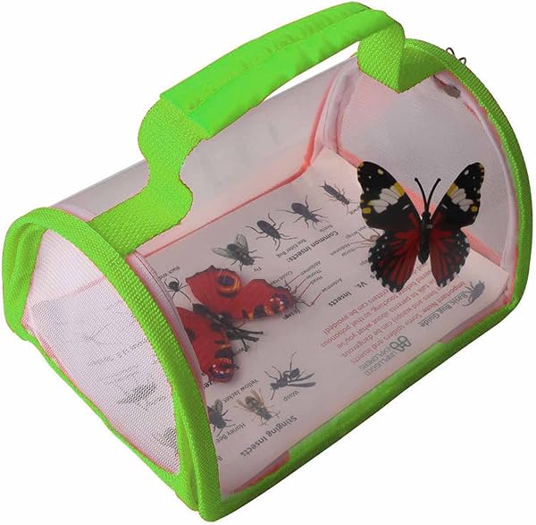 Hakona Insect Cage, Foldable, Clear PET Insect Cage, Mesh with Handle, Insect Breeding Box, Lightweight, Stylish, Breathable, Folding, Insect Observation, Experimental Equipment, Reptile/Turtle, - 1