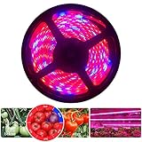 NewSoul　植物育成ライト LED 防水　テープ 5M 5050 屋内 ガーデン 温室フラワー 水耕栽培 水生盆栽システム 植物成長促進用ランプ　低消費電力 省エネ 観葉植物 園芸用品　切断可能　