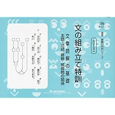 文の組み立て特訓 文章読解の基礎 サイパー国語読解の特訓シリーズ M Access 本 通販 Amazon
