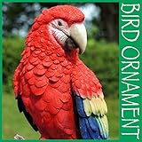 野川農園インコ(大)