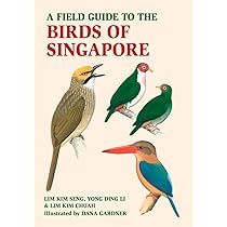 TRANSIT 15冊 + BIRD 1冊+ travel guide 1冊 A Field Guide to the Birds of Singapore : Chua, Lim Kim, Seng, Lim
