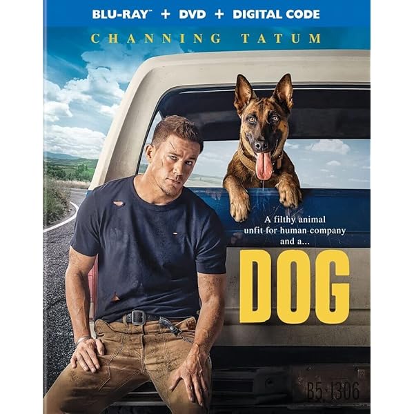 Amazon.co.jp: 逃走車 [Blu-ray] : ポール・ウォーカー, ナイマ