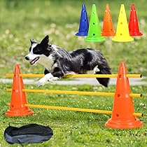 61dvJCA5L4L._AC_UL210_SR210,