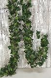英語アイビーガーランドグリーンVariegated 6 ft