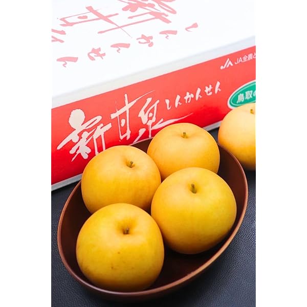 Amazon.co.jp: 梨 10kg 新甘泉梨 (しんかんせん) 鳥取産 希少