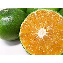 Amazon.co.jp: みかん Smile Orange 愛媛産 訳あり プチ極早生