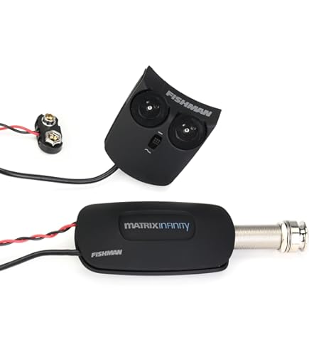 Amazon.co.jp: FISHMAN Soundhole Pickups Neo-Buster - Humbucker