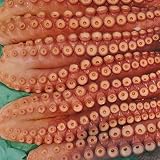魚水島 新潟・佐渡産 浜茹でボイルタコ 煮たこ 足2～3本 約1.0～1.4kg（冷凍）
