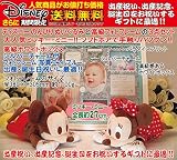 Disneyディズニー（のんびりミッキー・ミニー）ぬいぐるみと、高級フォトフレーム（パラダイス・ブルー）のセット、出産祝い、出産記念ギフト、誕生日プレゼント、誕生日ギフト、送料無料(沖縄と離島を除く)