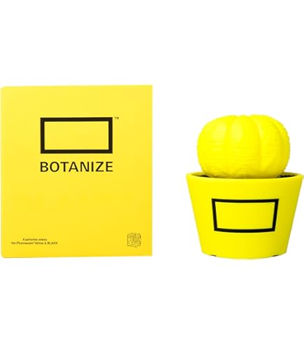 Amazon | MEDICOM TOY × BOTANIZE VCD Euphorbia obesa gloss var