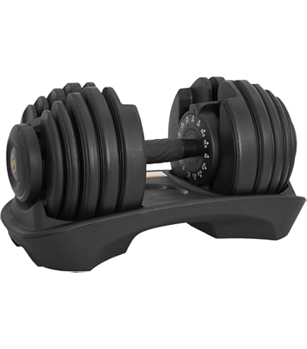 Amazon | ライシン ヘリックスミラー 1kg刻み 32kg 2個セット 可変式