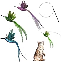 野良猫 4点セット Amazon | 野良猫 Before and After [全6種セット フルコンプ