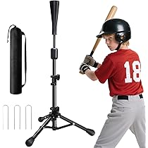 61e1fwzzwrL._AC_UL210_SR210,