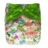 Charcoal Bamboo AIO All-in-one Cloth Diaper with Pocket, Spring by Ecoable