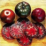 100 seeds/pack Bonsai Tomato seeds Mini Cherry Potted Sweet Fruit Vegetable Organic Fresh A21