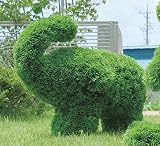 ガーデニング トピアリー 287A650光の楽園 ゾウ L約 幅95×奥行.32×高さ74cm