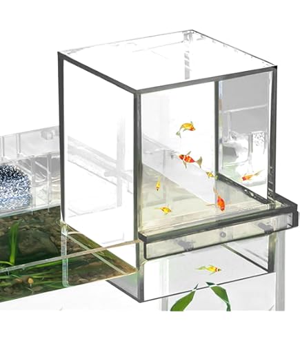 Amazon | 魚の水槽、 負圧水槽, 負圧水槽,小さな透明な魚の
