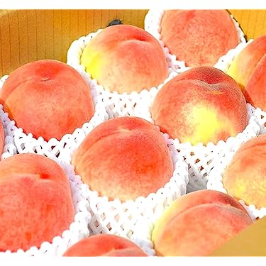 xingさん専用　特大　桃　川中島　ワケあり　10kg　5kg 川中島白桃 5kg【先行予約】2022年8月発送開始 ｜ G-Call