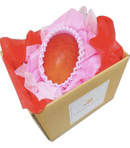 Amazon.co.jp: マンゴー 太陽のタマゴ 赤秀 4L 500g以上×2玉 JA宮崎