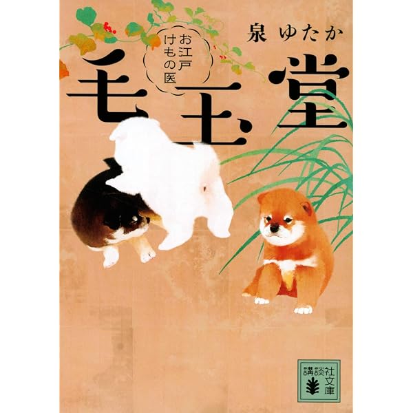 泉愛 書 和風額縁 色紙額 箱入り 作品 Amazon.co.jp: 雨あがり お江戸縁切り帖 (集英社文庫) : 泉 ゆたか: 本