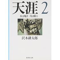 天涯 3 花は揺れ 闇は輝き (集英社文庫) | 沢木 耕太郎 |本 | 通販