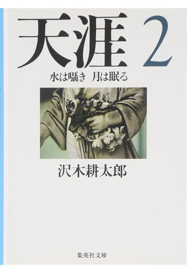 Amazon.co.jp: 天涯 1 鳥は舞い 光は流れ (集英社文庫) : 沢木 耕太郎: 本
