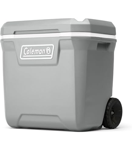 Amazon.co.jp: 未使用動作確認のみ EcoFlow Wave ポータブル