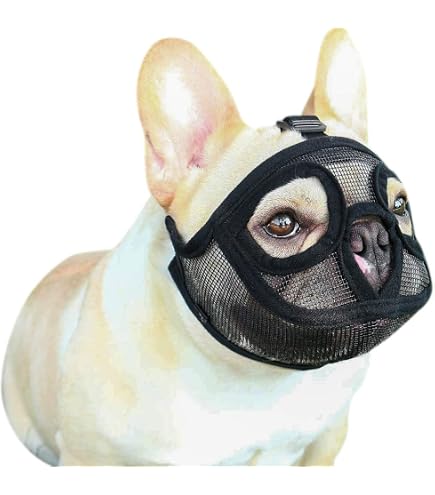 Amazon | Sefod ペット用マスク 犬用マスク ワンちゃんマスク