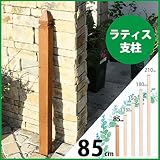 ラティス支柱　85cm　ブラウン
