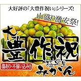 みかん 極早生 大豊作 温州 訳あり 10ｋｇ