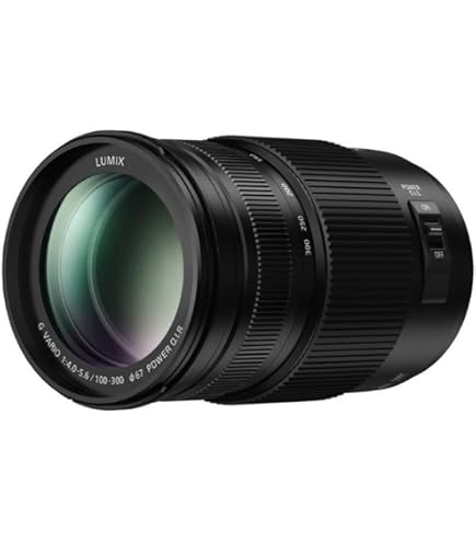 Amazon.co.jp: Panasonic LUMIX G II Varioレンズ、100-300mm、ミラー